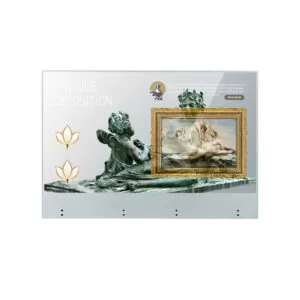 LG 55EW5TK 55" Transparente OLED Touch Signage